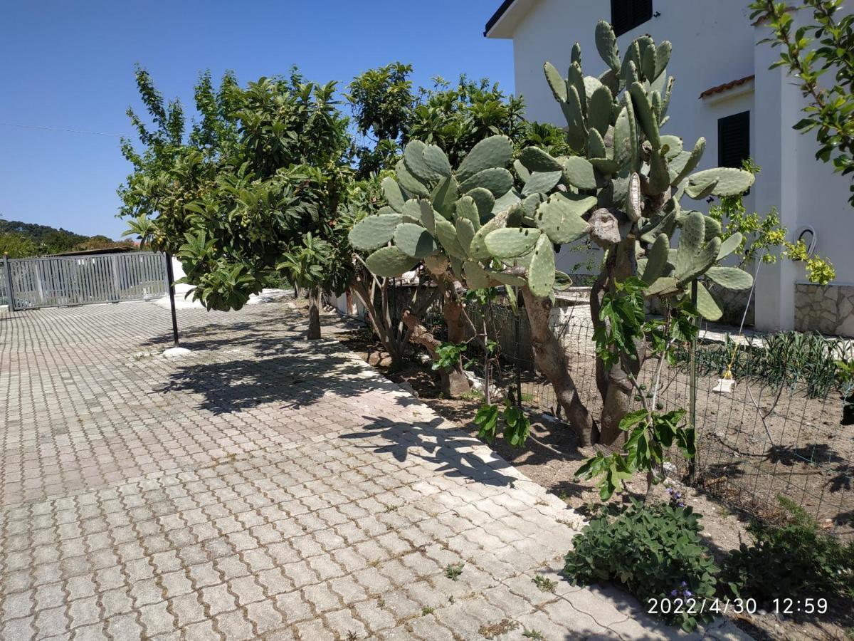 Villa Scialara Vieste Dış mekan fotoğraf